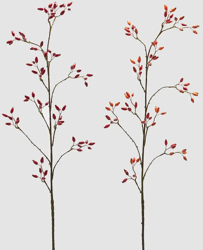 Hagebutte | mix Red 115 cm | VE 2 Stück Stückpreis 27 €