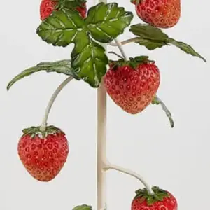 Kerzenleuter Erdbeeren 1er | 26×10 cm |