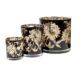Windlicht 10 x 12,5 Blume | Glas schwarz/gold |